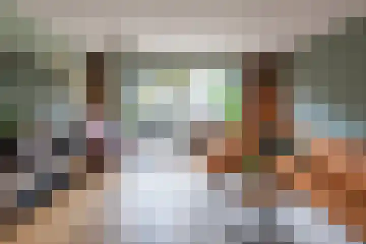 Hof van Zilverlicht 41 Delft thumbnail 4
