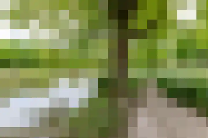 Hof van Zilverlicht 41 Delft thumbnail 42