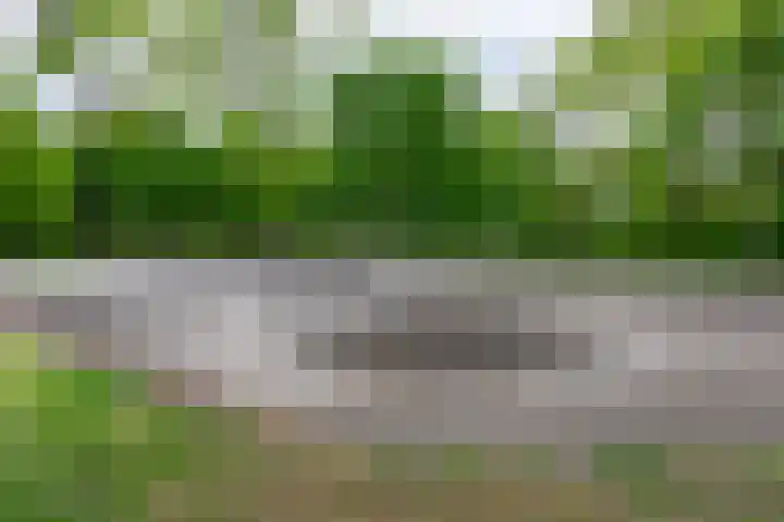 Hof van Zilverlicht 41 Delft thumbnail 43