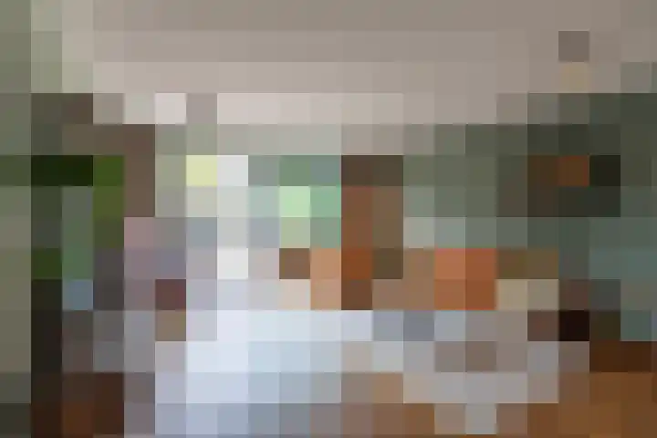 Hof van Zilverlicht 41 Delft thumbnail 5