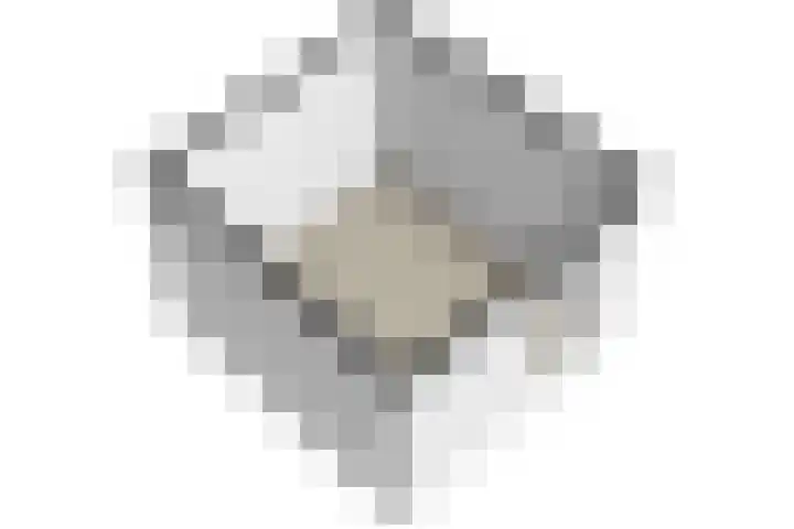 Hof van Zilverlicht 41 Delft thumbnail 52