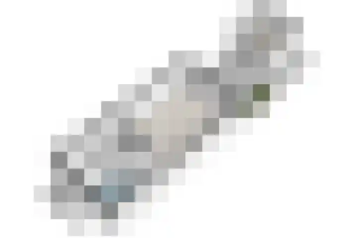 Hof van Zilverlicht 41 Delft thumbnail 54