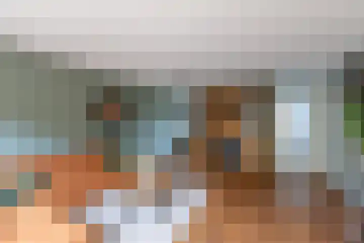 Hof van Zilverlicht 41 Delft thumbnail 7