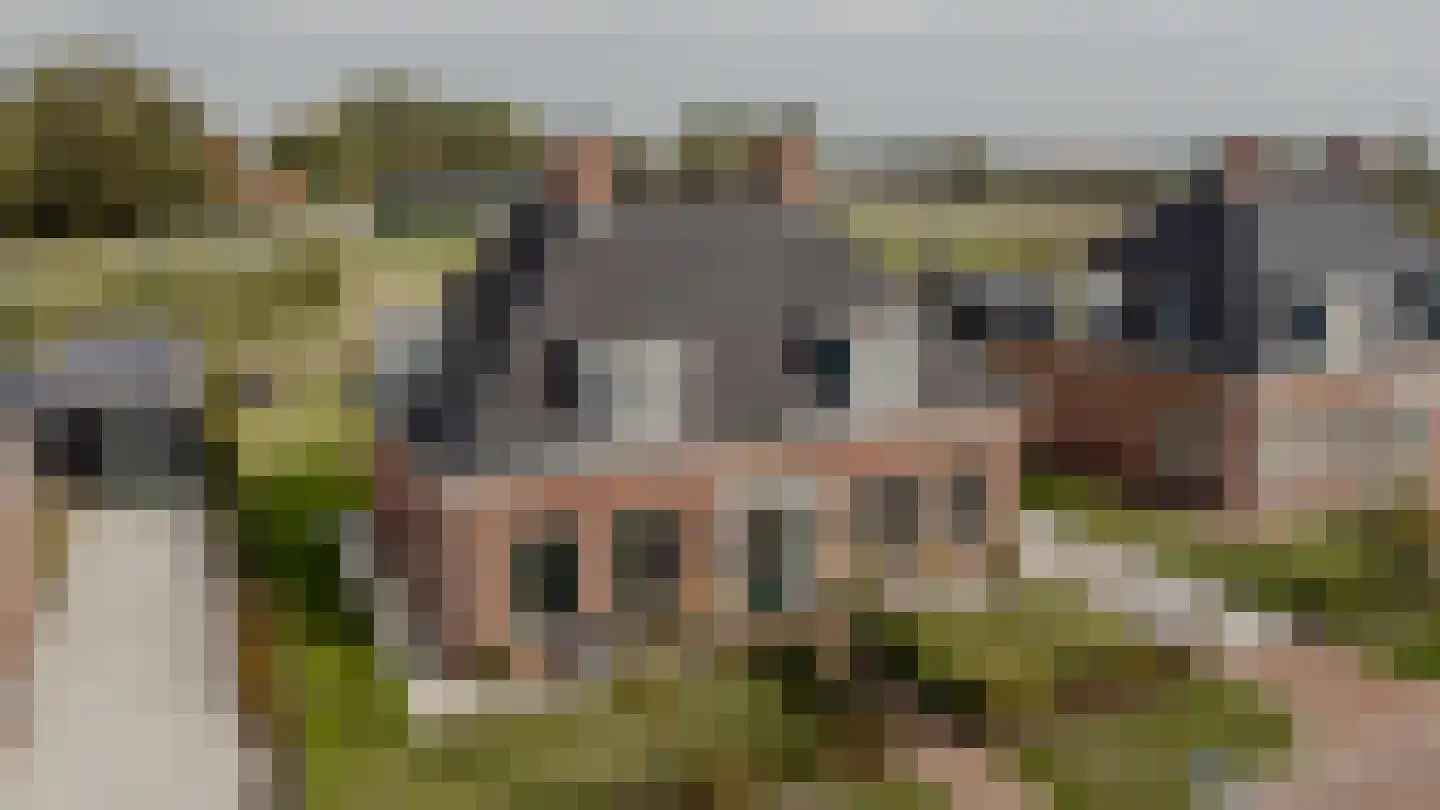 Hof Vlugtenburg 5 Oost-Souburg thumbnail 13