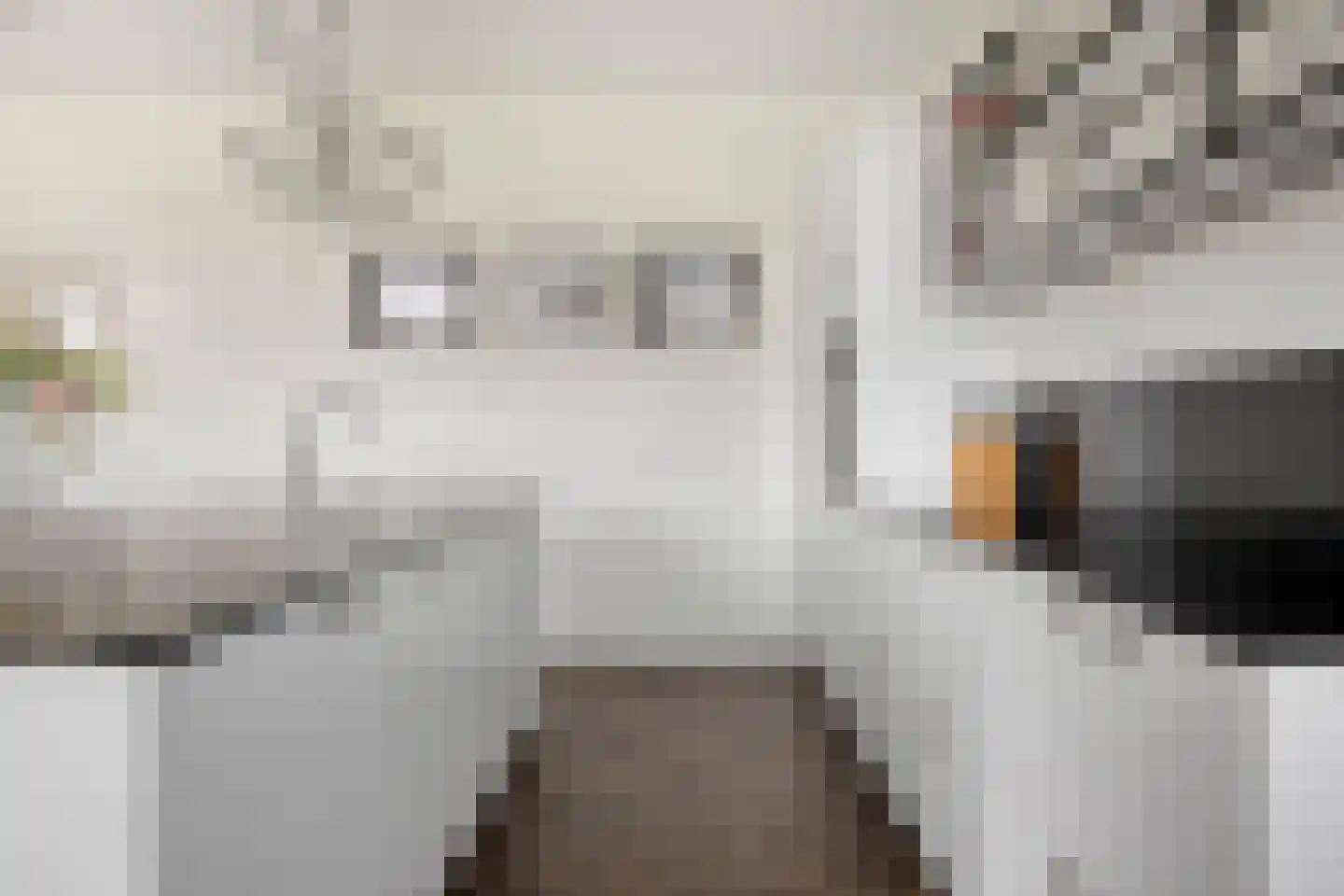 Hof Vlugtenburg 5 Oost-Souburg thumbnail 21