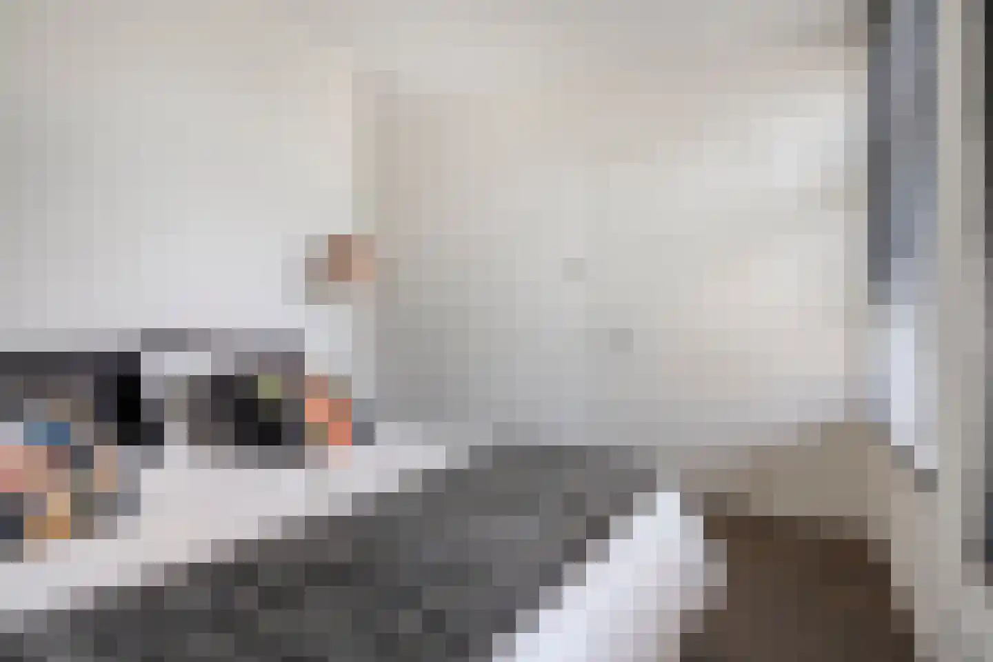 Hof Vlugtenburg 5 Oost-Souburg thumbnail 28