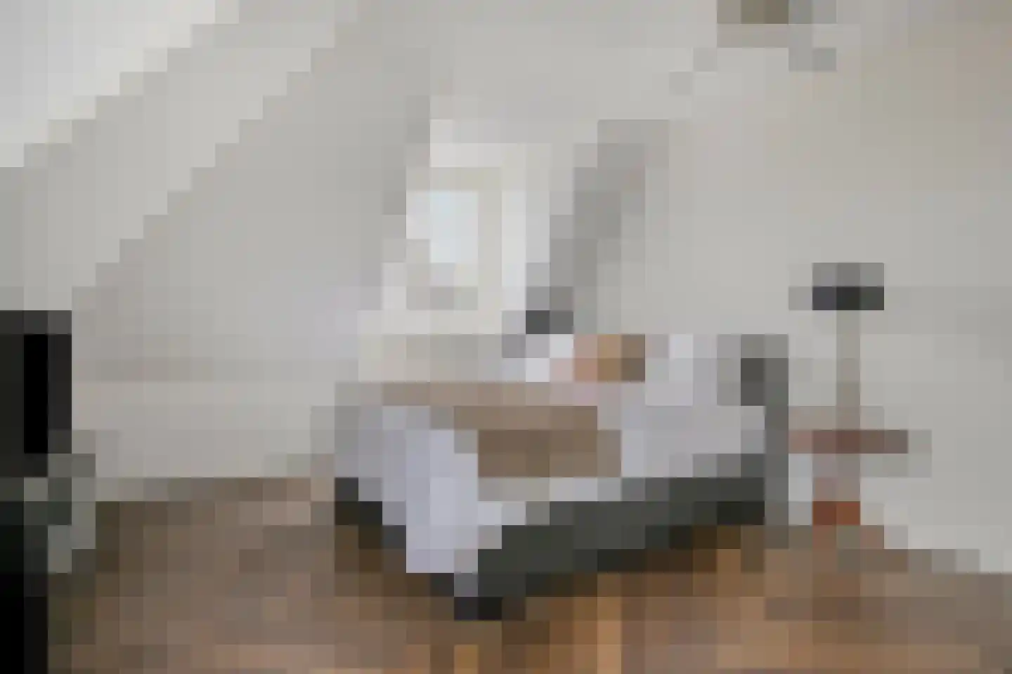 Hof Vlugtenburg 5 Oost-Souburg thumbnail 32