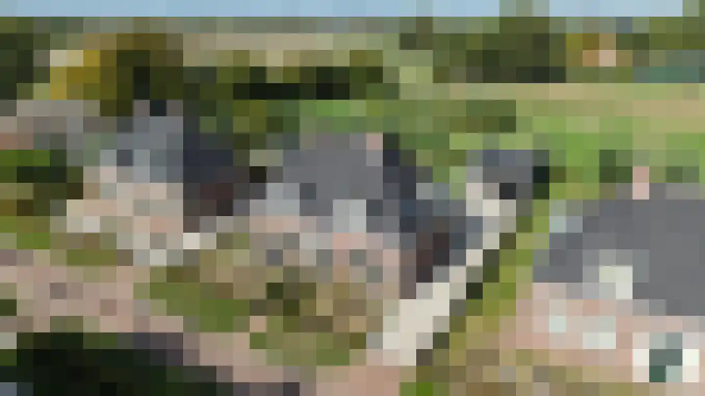 Hof Vlugtenburg 5 Oost-Souburg thumbnail 50