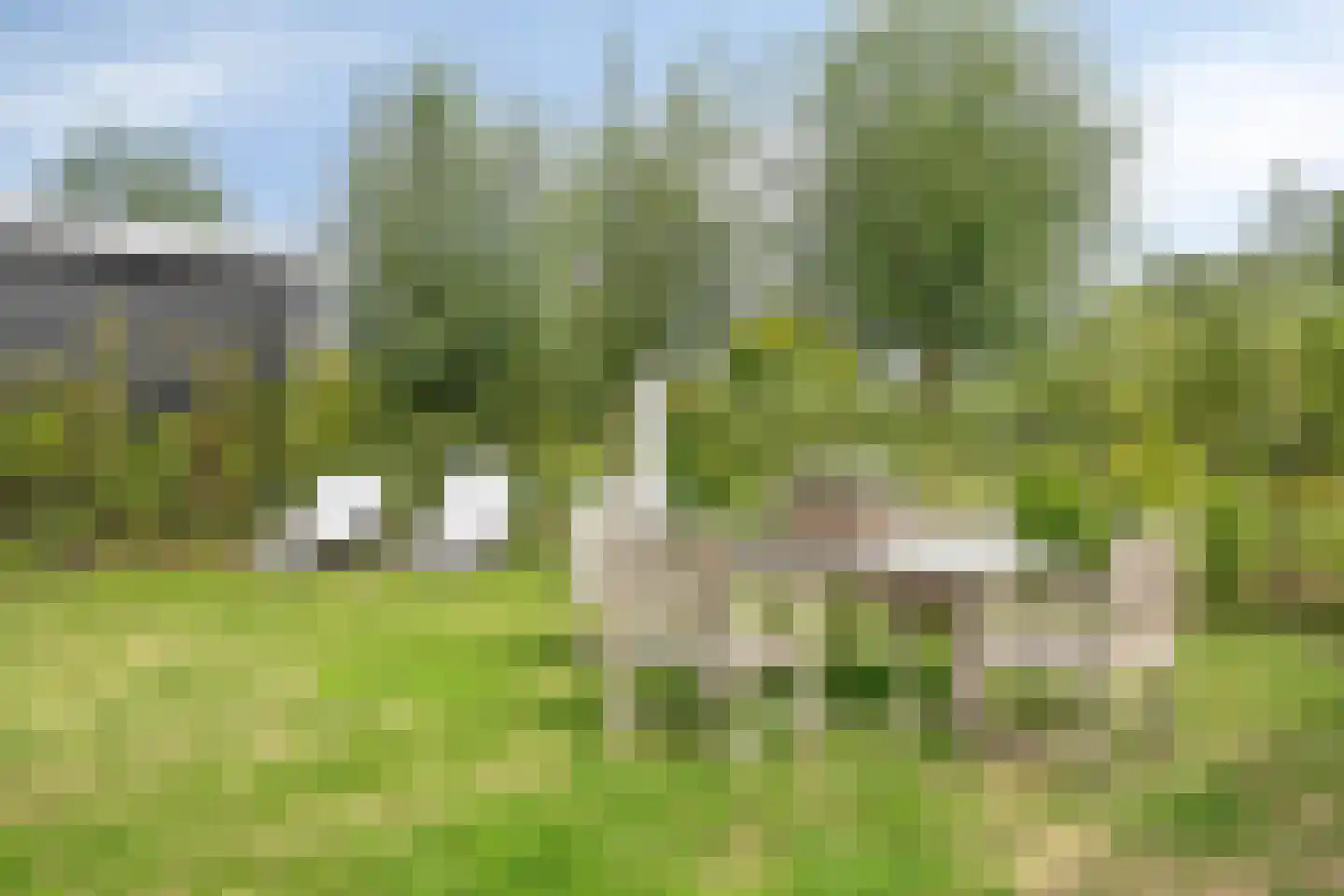 Hof Vlugtenburg 5 Oost-Souburg thumbnail 56