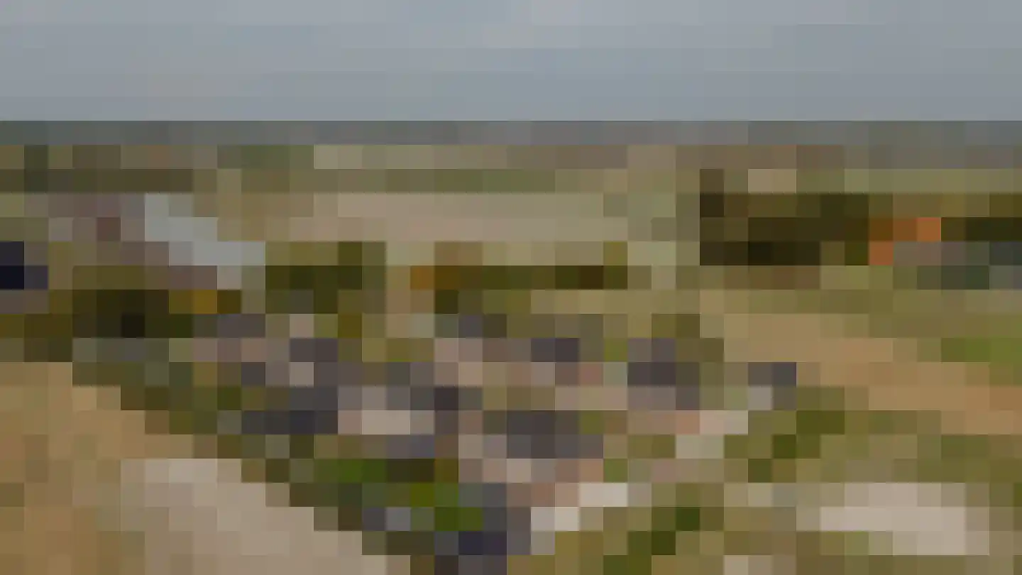 Hof Vlugtenburg 5 Oost-Souburg thumbnail 56