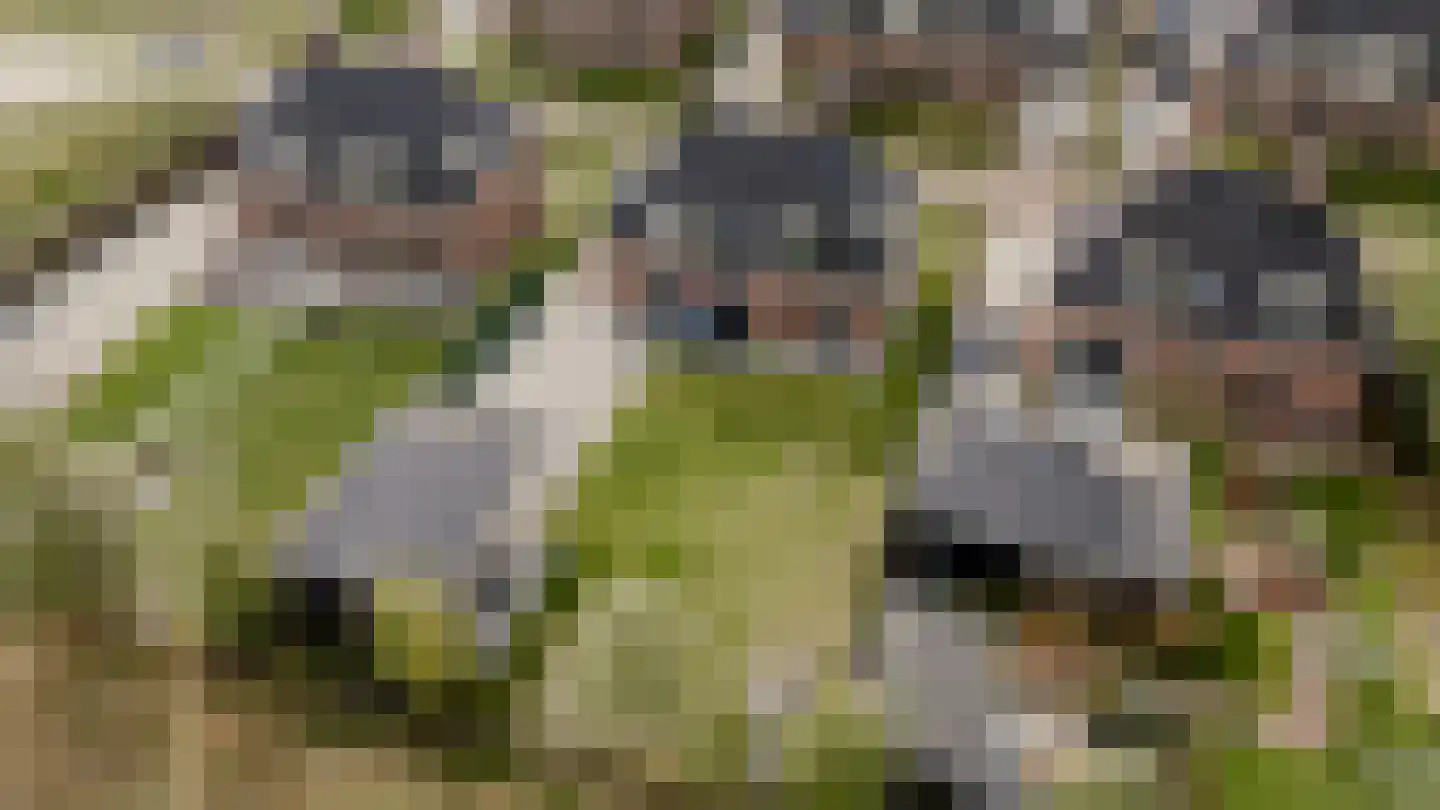 Hof Vlugtenburg 5 Oost-Souburg thumbnail 57