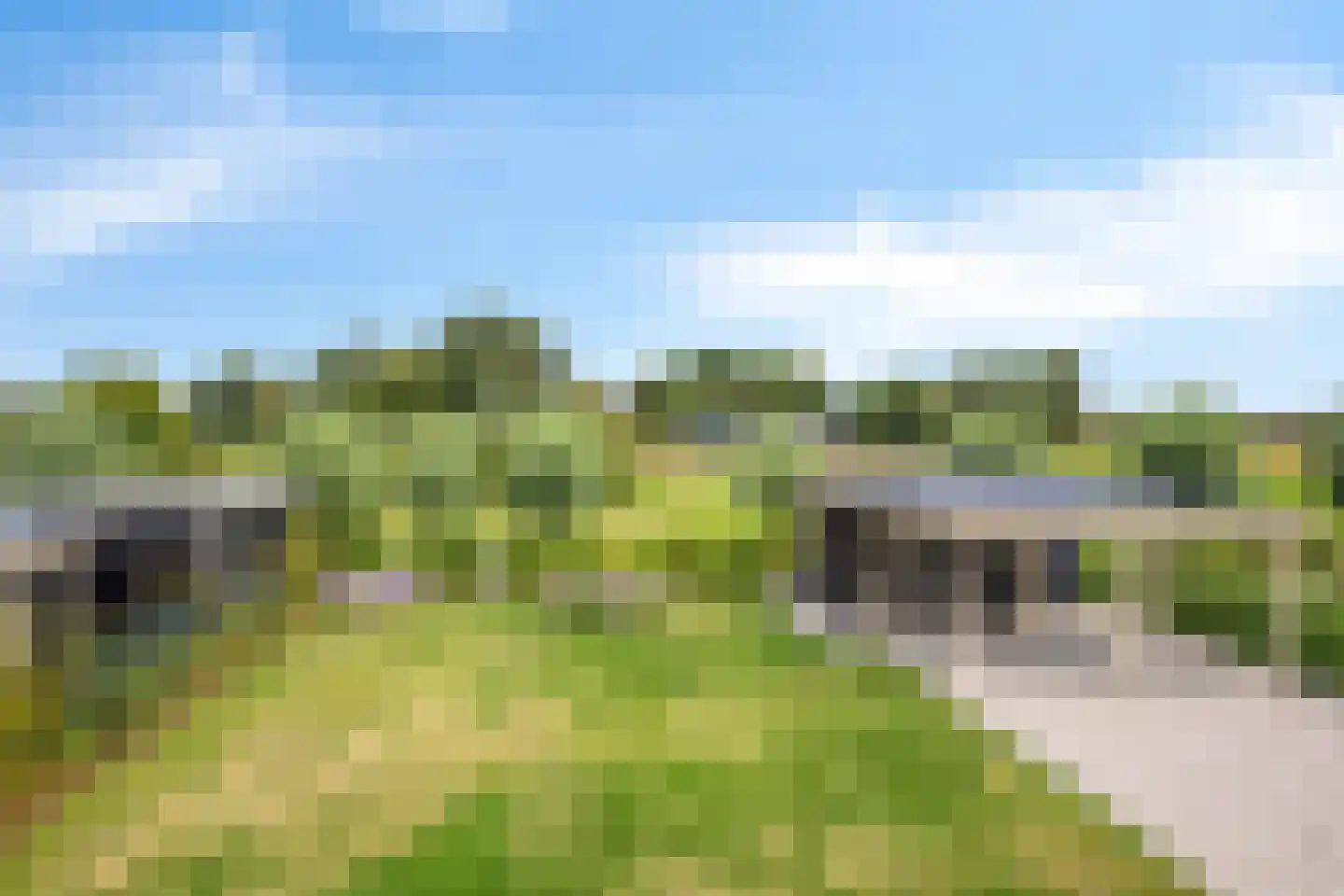 Hof Vlugtenburg 5 Oost-Souburg thumbnail 57