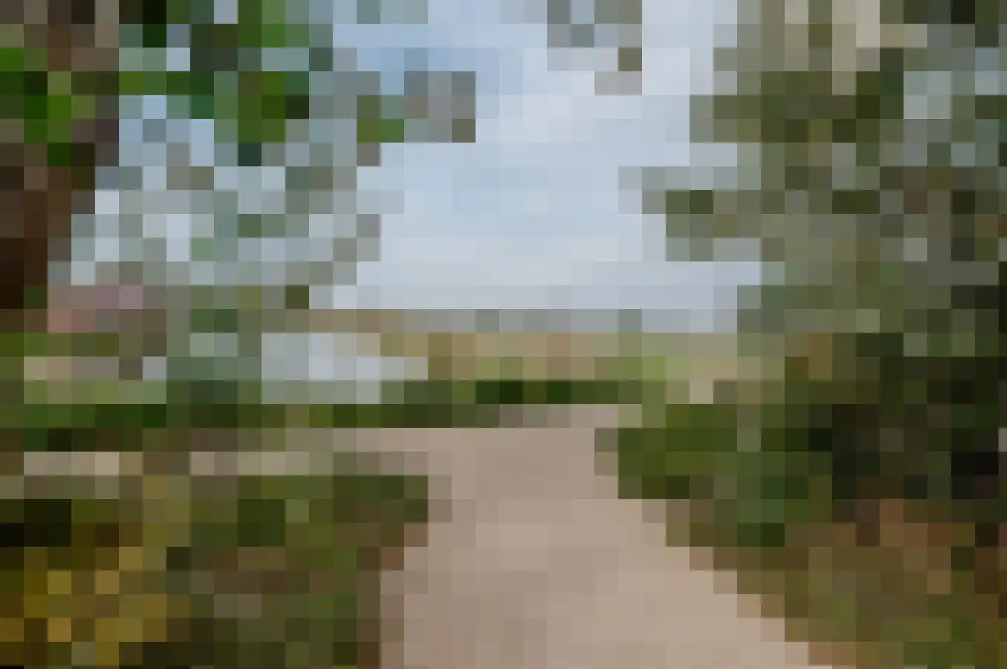 Hof Vlugtenburg 5 Oost-Souburg thumbnail 6