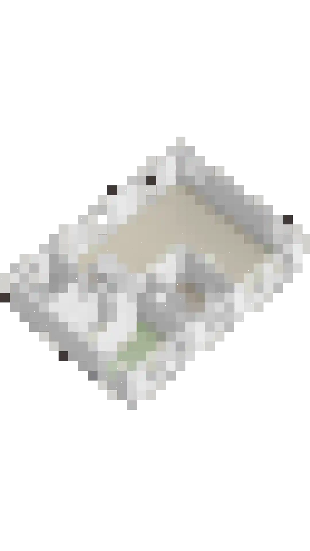 Hof Vlugtenburg 5 Oost-Souburg thumbnail 64