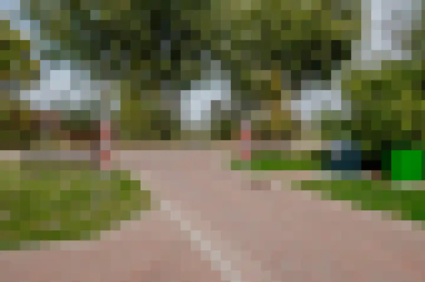 Hof Vlugtenburg 5 Oost-Souburg thumbnail 9