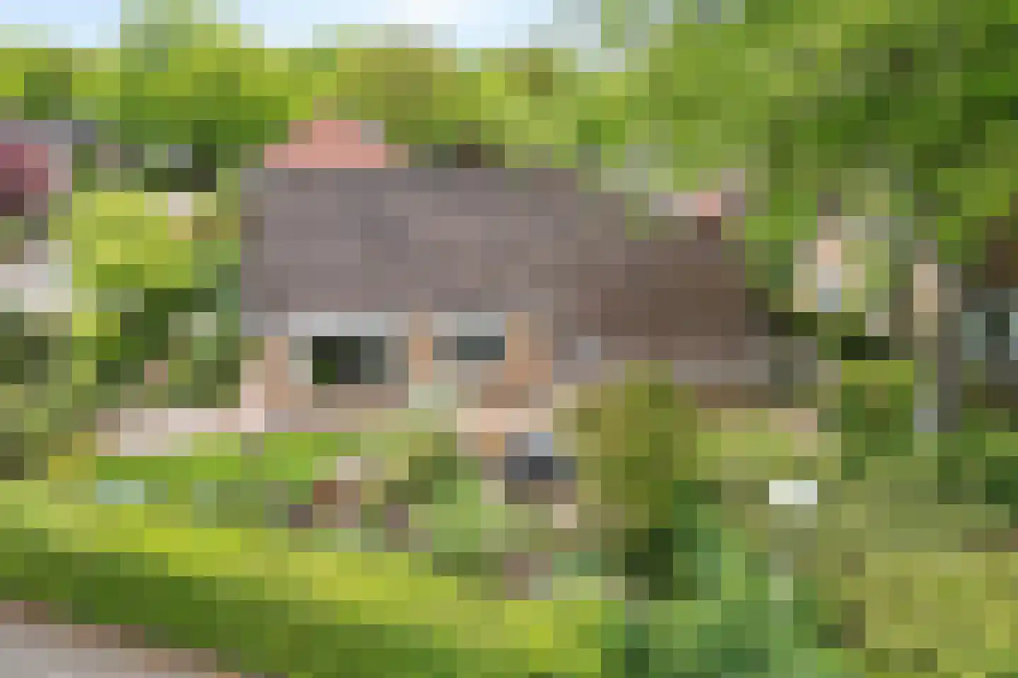 Hofakker 2 Aalden