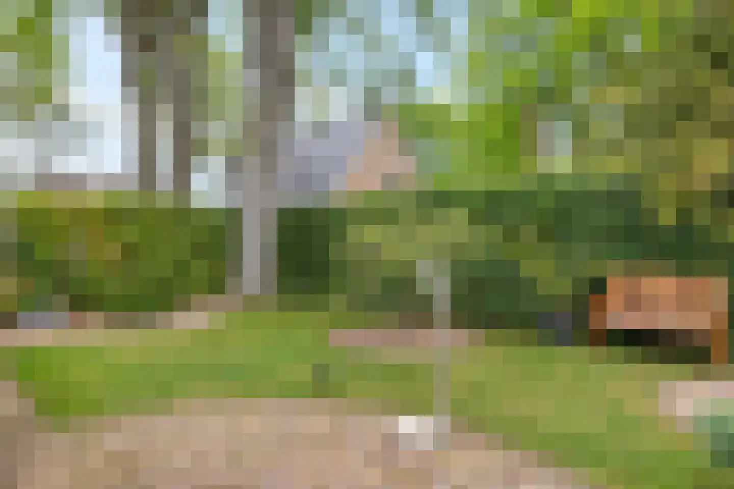Hofakker 2 Aalden thumbnail 37