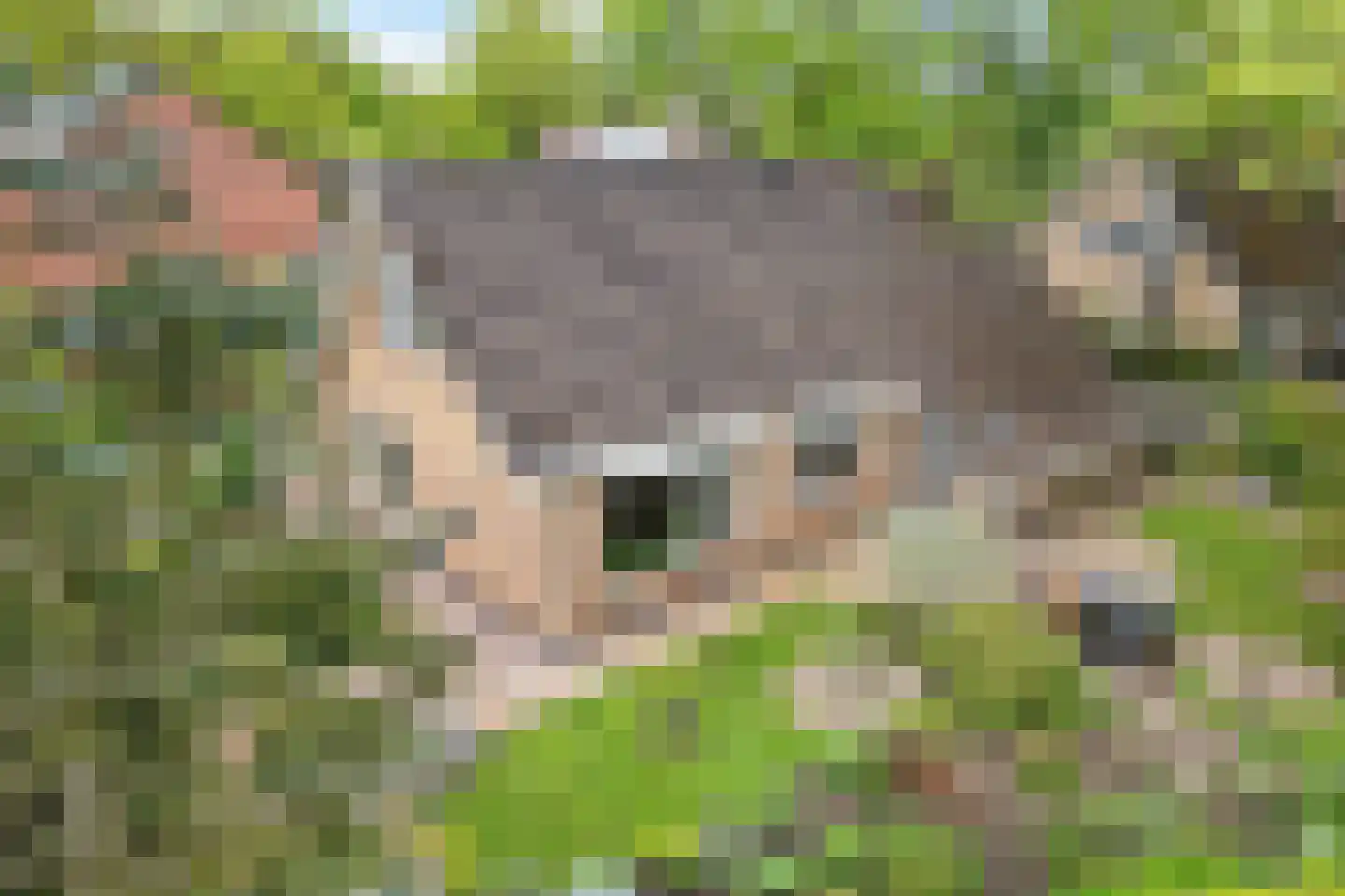 Hofakker 2 Aalden thumbnail 4
