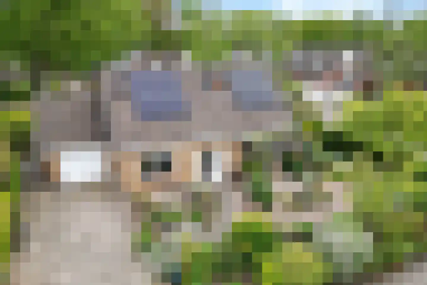 Hofakker 2 Aalden thumbnail 44