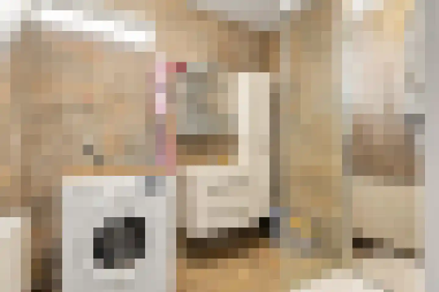 Hofakker 32 Koog aan de Zaan thumbnail 12