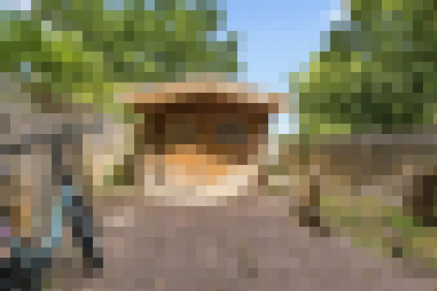Hofakker 32 Koog aan de Zaan thumbnail 4