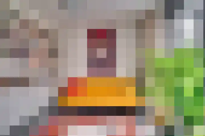 Hofakker 7 Meijel thumbnail 15