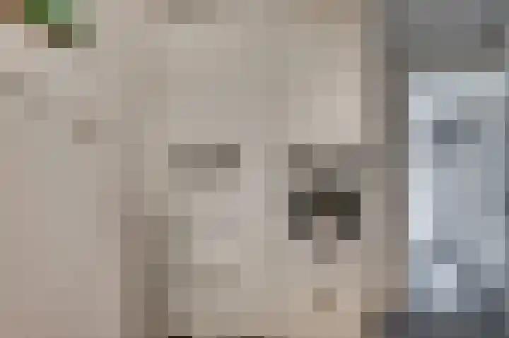 Hofakker 7 Meijel thumbnail 20