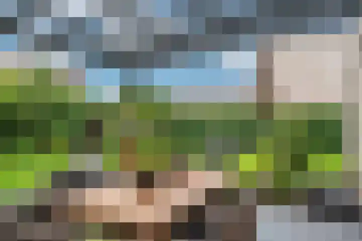 Hofakker 7 Meijel foto 3