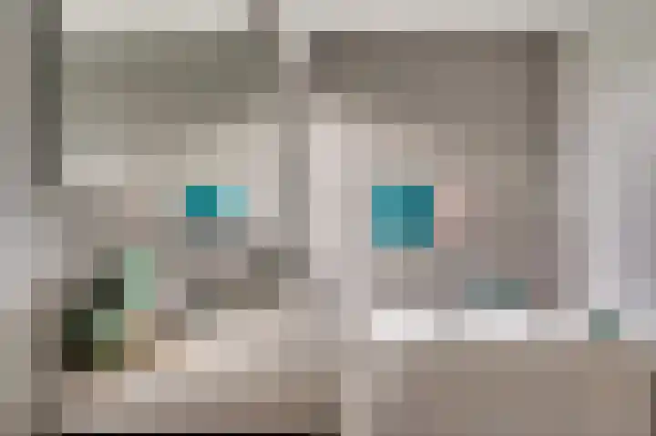 Hofakker 7 Meijel thumbnail 30