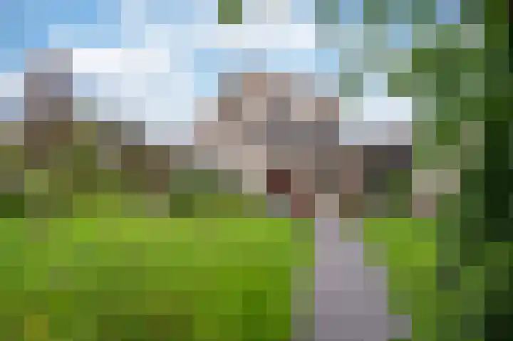 Hofakker 7 Meijel thumbnail 33