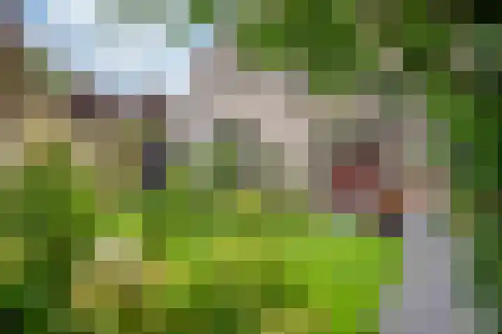 Hofakker 7 Meijel thumbnail 34