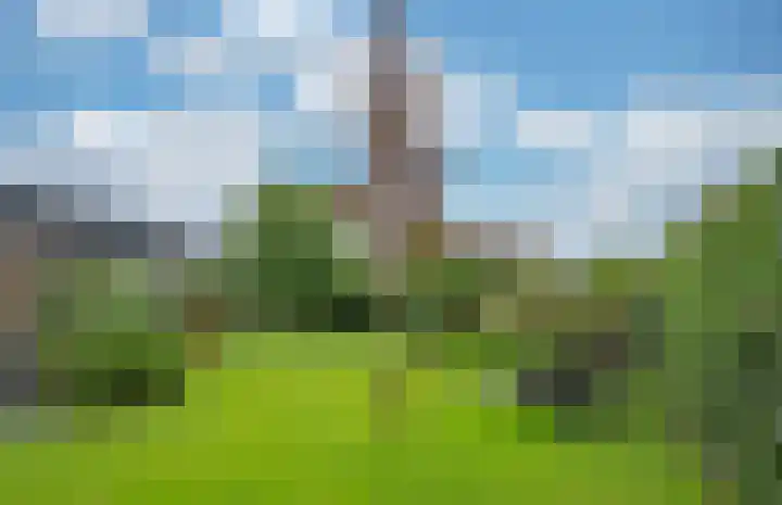 Hofakker 7 Meijel thumbnail 39