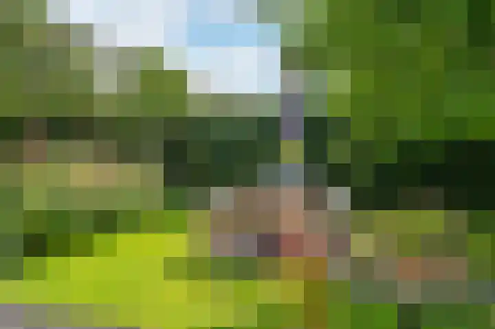 Hofakker 7 Meijel thumbnail 41