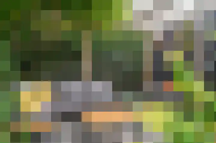 Hofakker 7 Meijel thumbnail 42