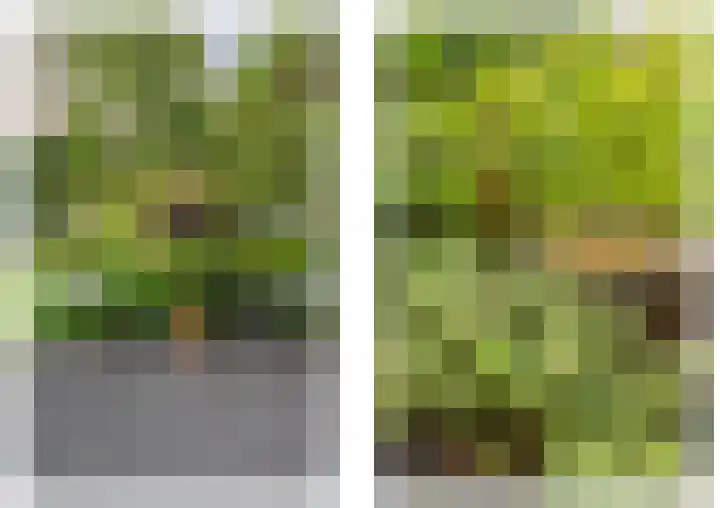 Hofakker 7 Meijel thumbnail 43