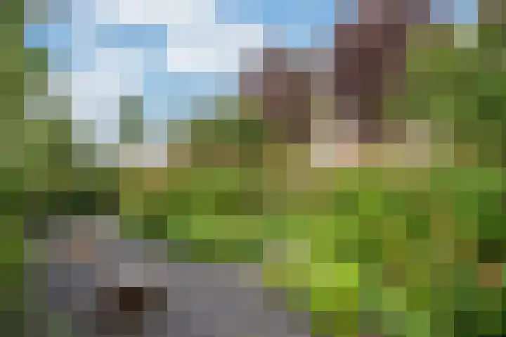 Hofakker 7 Meijel thumbnail 45