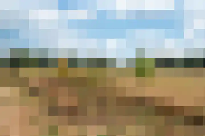 Hofakker 7 Meijel thumbnail 53