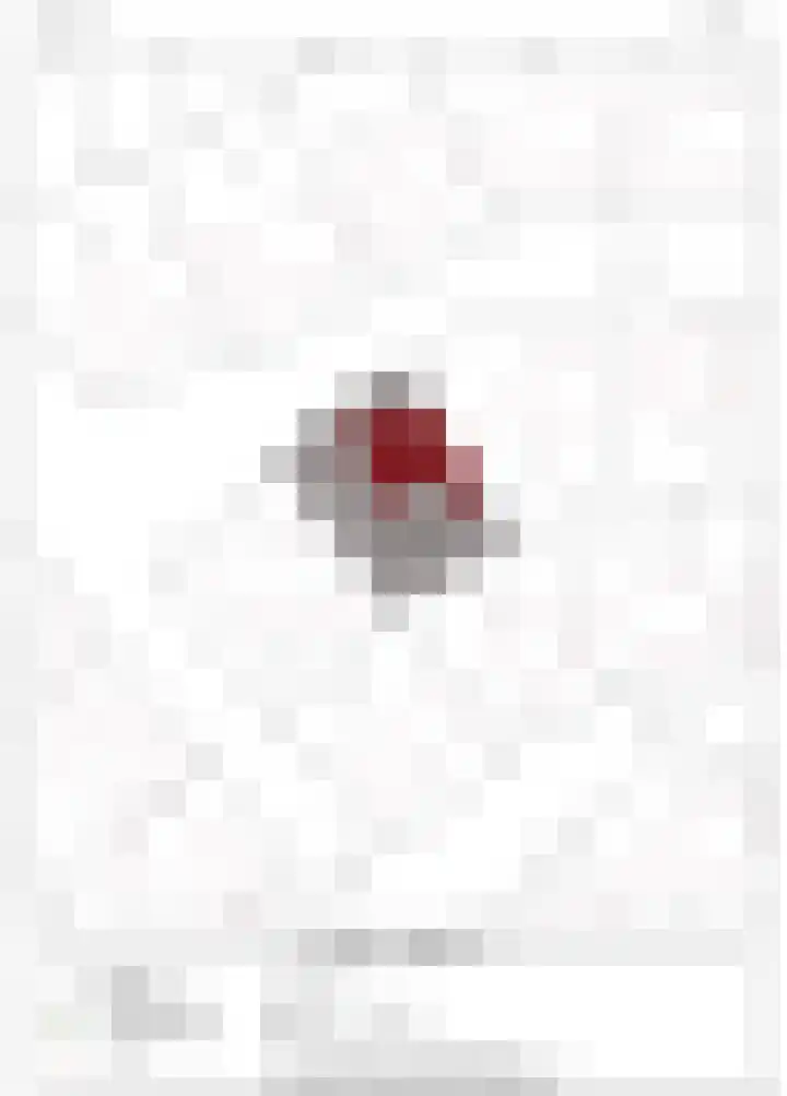 Hofakker 7 Meijel thumbnail 63