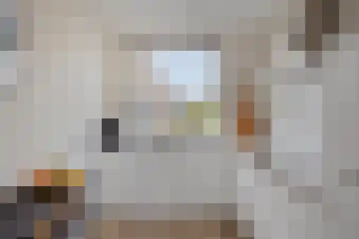 Hofakker 9 Moergestel thumbnail 14