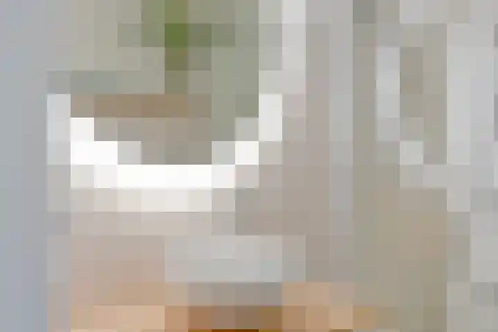 Hofakker 9 Moergestel thumbnail 20