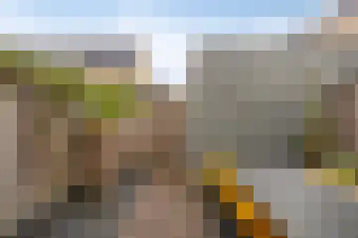 Hofakker 9 Moergestel thumbnail 29