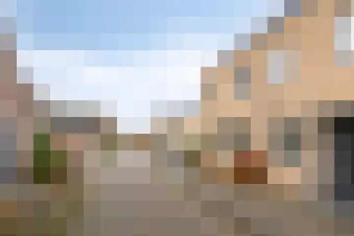 Hofakker 9 Moergestel thumbnail 32