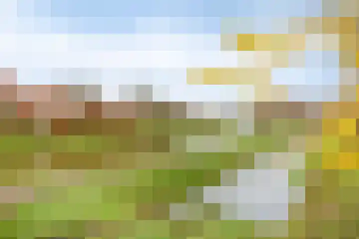 Hofakker 9 Moergestel thumbnail 33