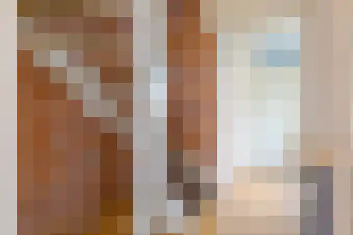 Hofakkers 12 Borger thumbnail 11