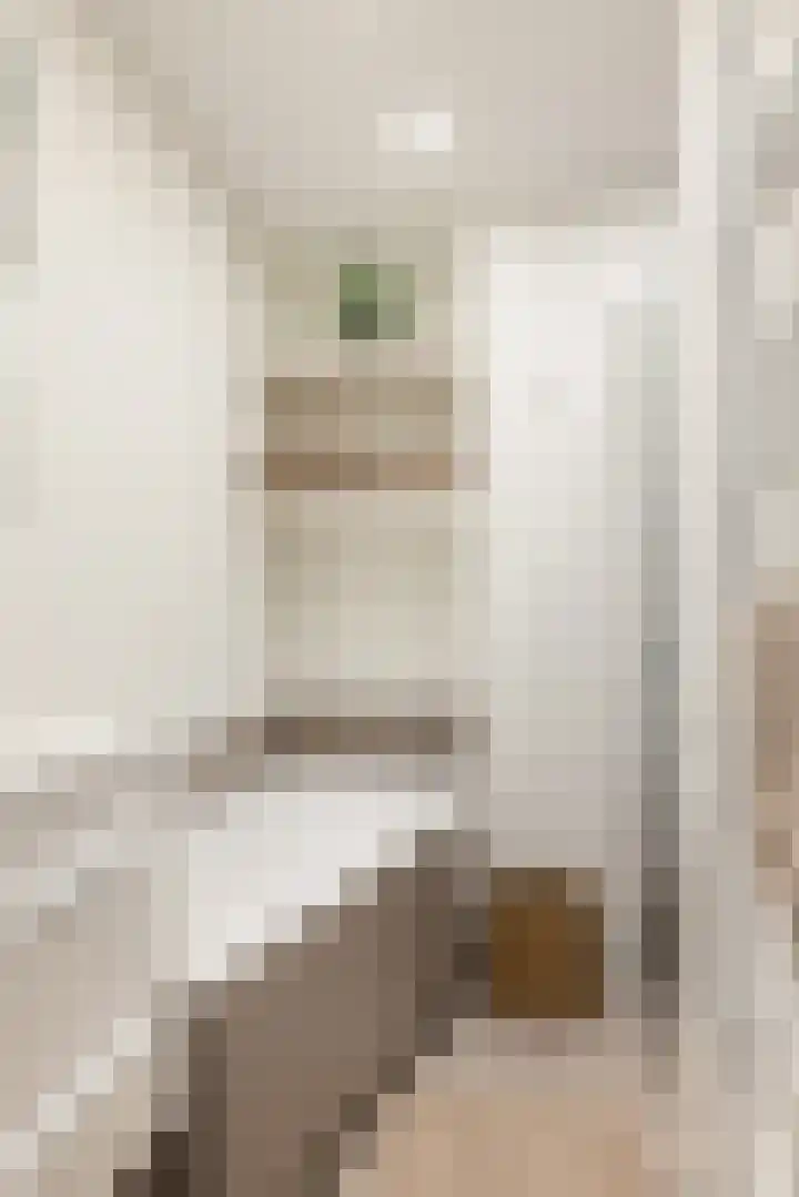 Hofakkers 12 Borger thumbnail 13