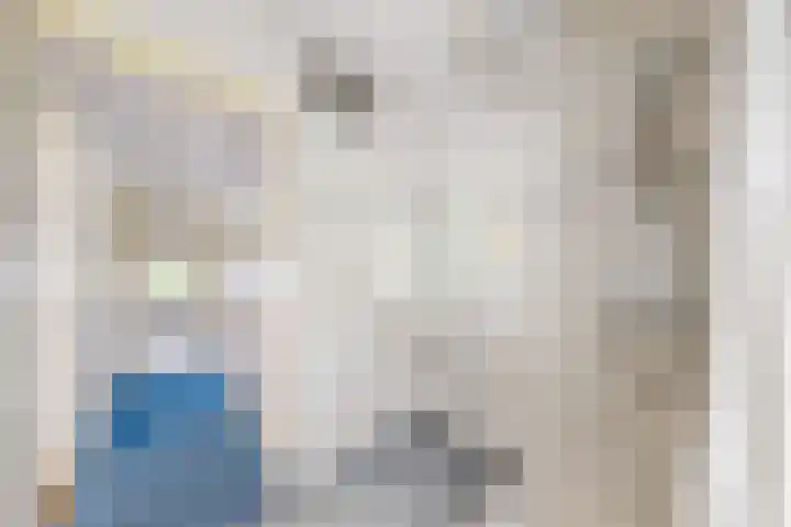 Hofakkers 12 Borger thumbnail 16