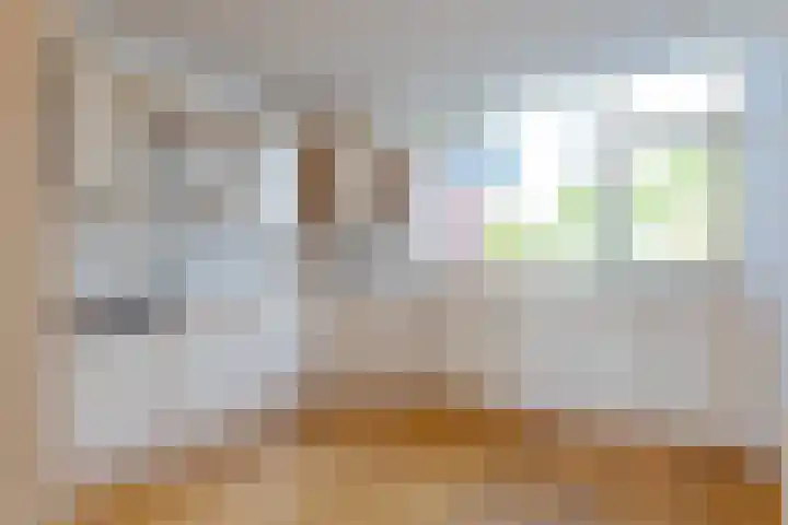 Hofakkers 12 Borger thumbnail 20