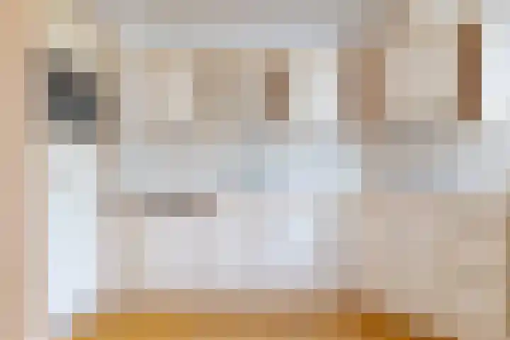 Hofakkers 12 Borger thumbnail 22