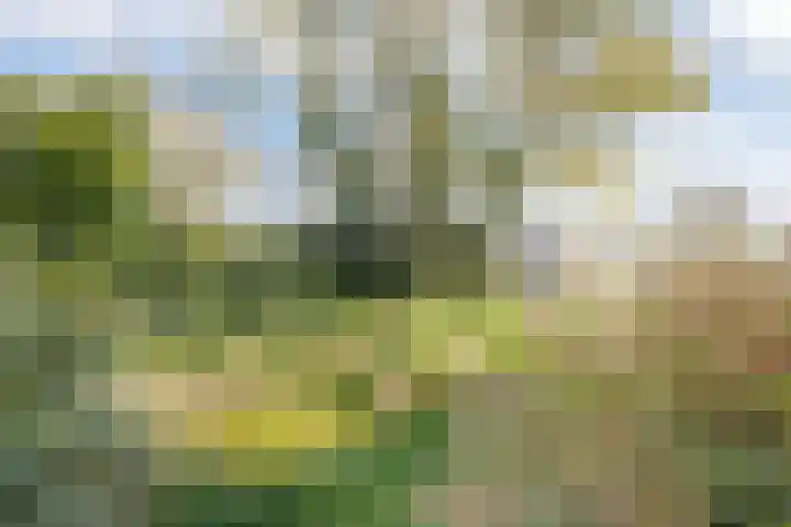 Hofakkers 12 Borger thumbnail 25