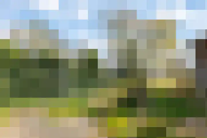 Hofakkers 12 Borger thumbnail 26
